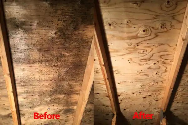 water damage restoration service Waynesburg